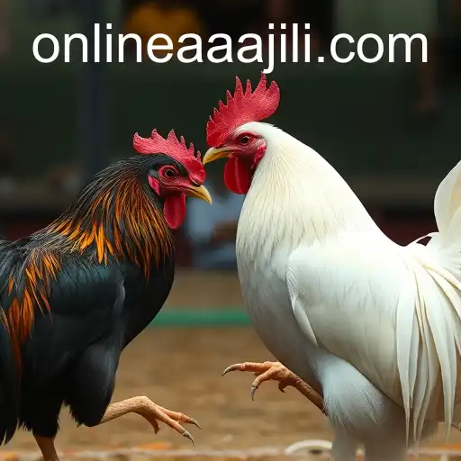 Exploring the World of Online Sabong with AAAJILI